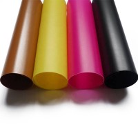 Factory Translucent Color Pp Polypropylene Pp Sheet 91microns Matte Waterproof Solid Plastic Pvc/pp Sheet